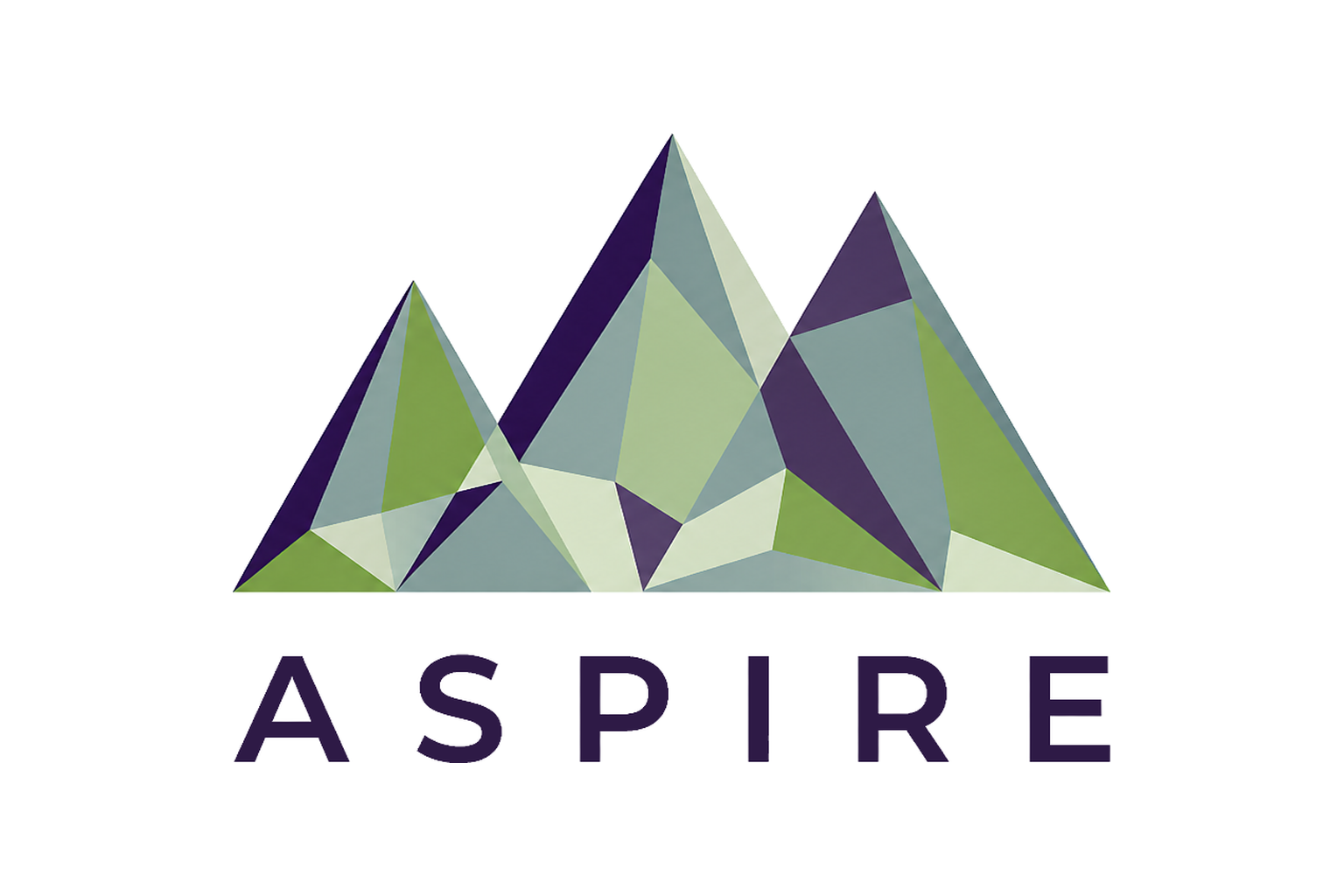 ASPIRE Professional Advisory Board logo