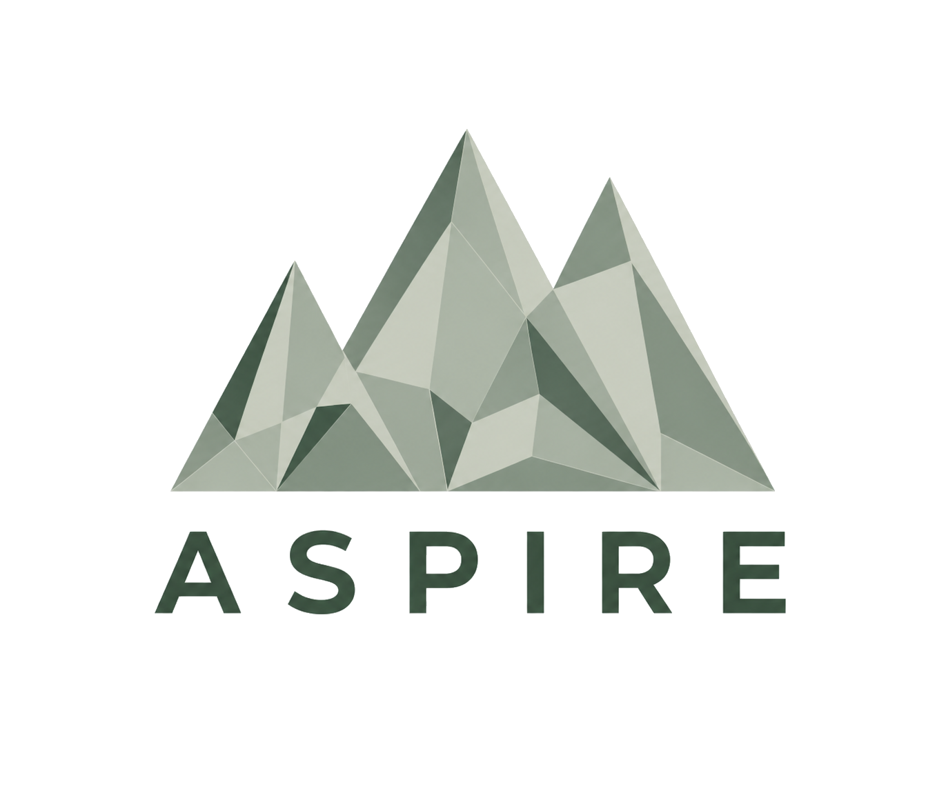 ASPIRE Professional Advisory Board logo