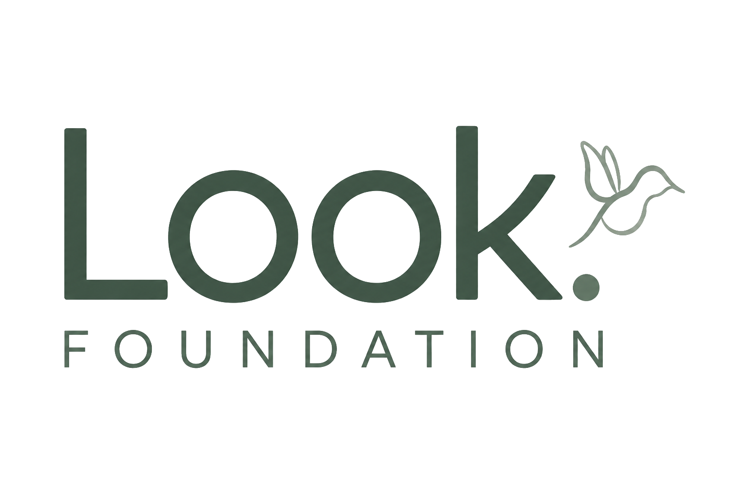 Look Foundation logo